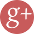 Google+